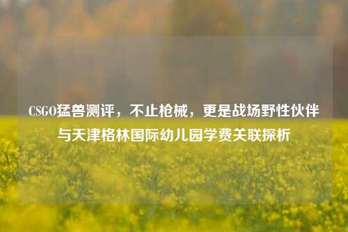 CSGO猛兽测评，不止枪械，更是战场野性伙伴与天津格林国际幼儿园学费关联探析