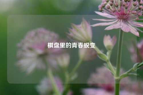 棋盘里的青春蜕变