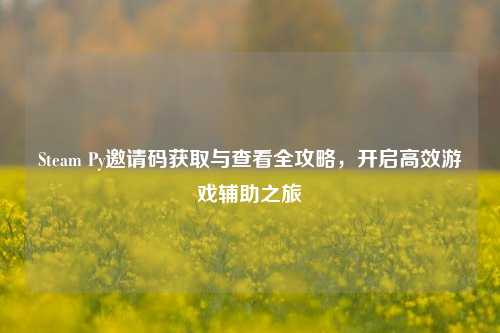 Steam Py邀请码获取与查看全攻略，开启高效游戏辅助之旅