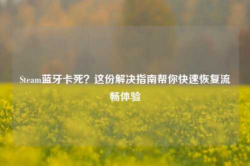 Steam蓝牙卡死？这份解决指南帮你快速恢复流畅体验