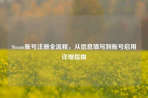 Steam账号注册全流程，从信息填写到账号启用详细指南