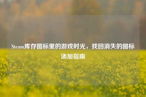 Steam库存图标里的游戏时光,找回消失的图标添加指南