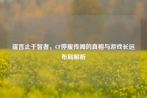 谣言止于智者，CF停服传闻的真相与游戏长远布局解析