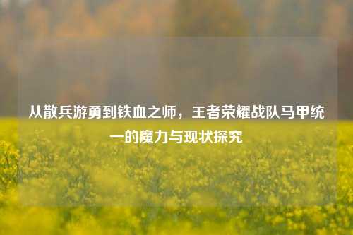 从散兵游勇到铁血之师,王者荣耀战队马甲统一的魔力与现状探究