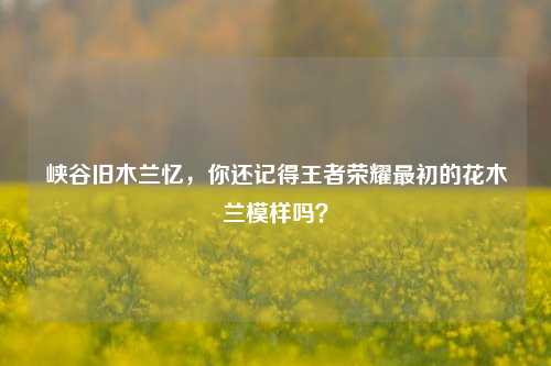 峡谷旧木兰忆,你还记得王者荣耀最初的花木兰模样吗?