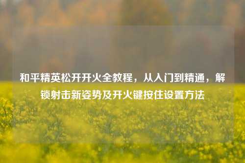 和平精英松开开火全教程,从入门到精通,解锁射击新姿势及开火键按住设置方法