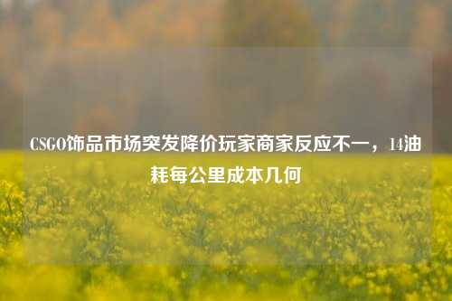 CSGO饰品市场突发降价玩家商家反应不一,14油耗每公里成本几何