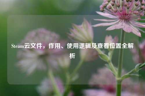 Steam云文件,作用、使用逻辑及查看位置全解析