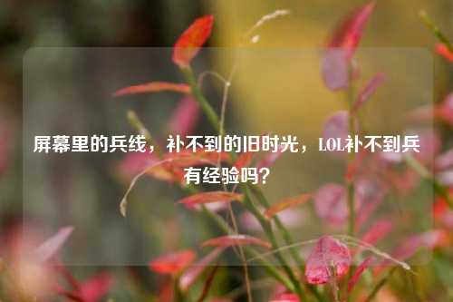 屏幕里的兵线，补不到的旧时光，LOL补不到兵有经验吗？