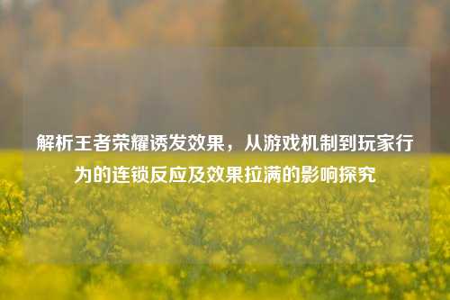 解析王者荣耀诱发效果，从游戏机制到玩家行为的连锁反应及效果拉满的影响探究