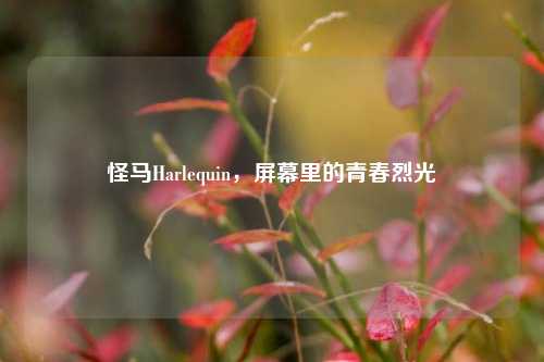 怪马Harlequin,屏幕里的青春烈光