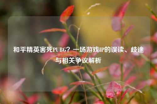 和平精英害死PUBG?一场游戏IP的误读、歧途与相关争议解析