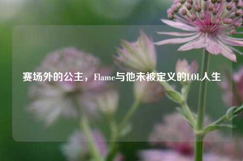 赛场外的公主，Flame与他未被定义的LOL人生
