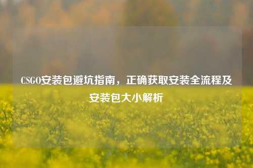 CSGO安装包避坑指南，正确获取安装全流程及安装包大小解析