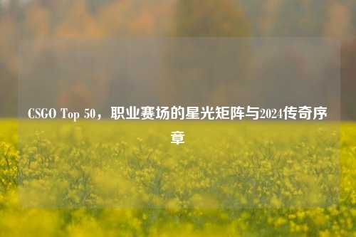 CSGO Top 50,职业赛场的星光矩阵与2024传奇序章