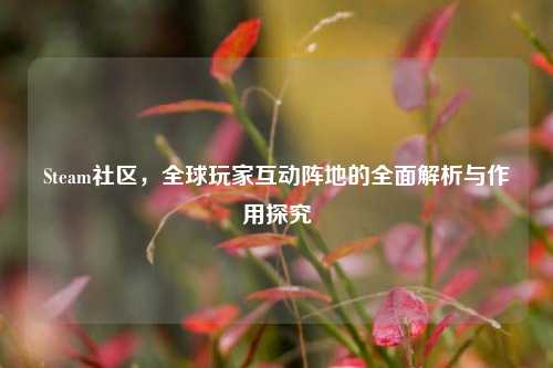 Steam社区,全球玩家互动阵地的全面解析与作用探究