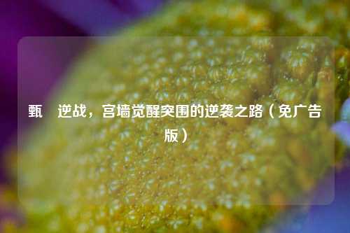 甄嬛逆战，宫墙觉醒突围的逆袭之路（免广告版）
