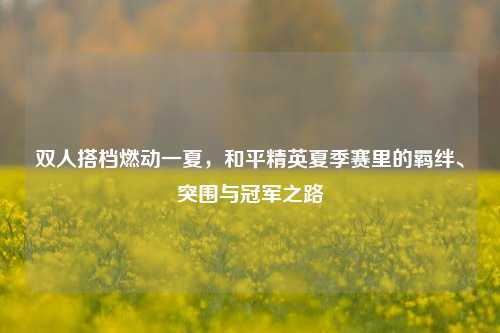 双人搭档燃动一夏,和平精英夏季赛里的羁绊、突围与冠军之路