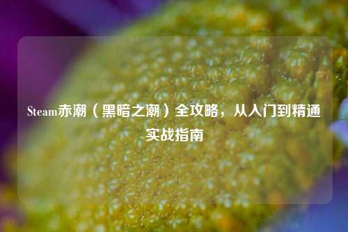 Steam赤潮（黑暗之潮）全攻略，从入门到精通实战指南