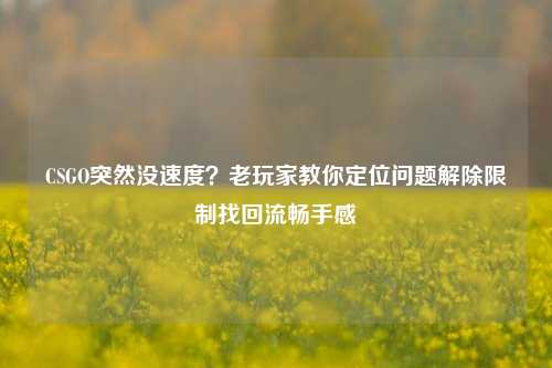 CSGO突然没速度？老玩家教你定位问题解除限制找回流畅手感