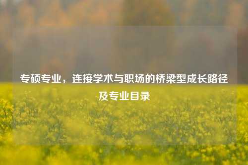 专硕专业，连接学术与职场的桥梁型成长路径及专业目录