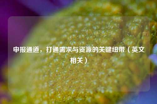 申报通道，打通需求与资源的关键纽带（英文相关）