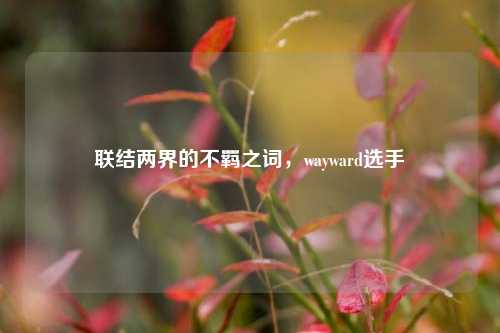 联结两界的不羁之词，wayward选手