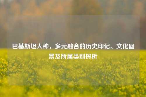巴基斯坦人种，多元融合的历史印记、文化图景及所属类别探析