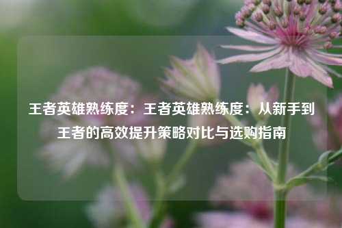 王者英雄熟练度：王者英雄熟练度：从新手到王者的高效提升策略对比与选购指南
