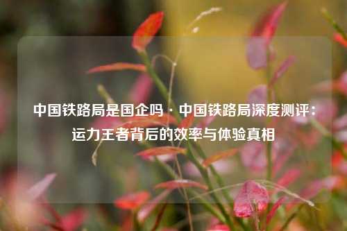 中国铁路局是国企吗·中国铁路局深度测评:运力王者背后的效率与体验真相