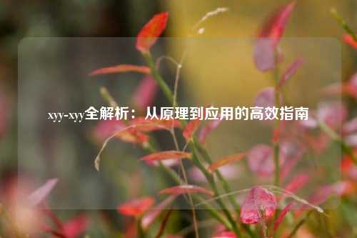 xyy-xyy全解析:从原理到应用的高效指南