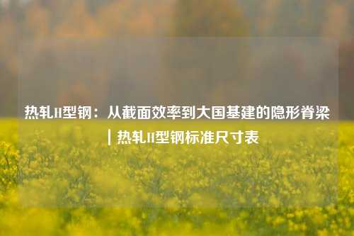热轧H型钢:从截面效率到大国基建的隐形脊梁|热轧H型钢标准尺寸表