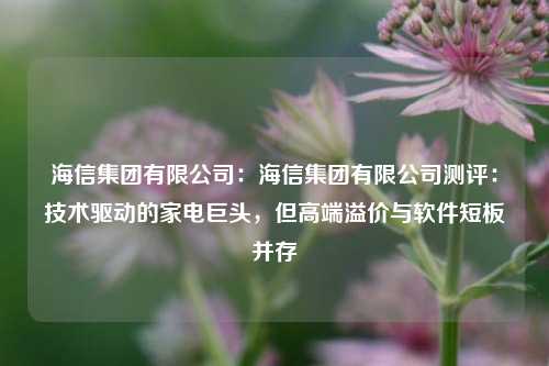海信集团有限公司:海信集团有限公司测评:技术驱动的家电巨头,但高端溢价与软件短板并存