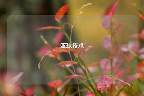 篮球技术