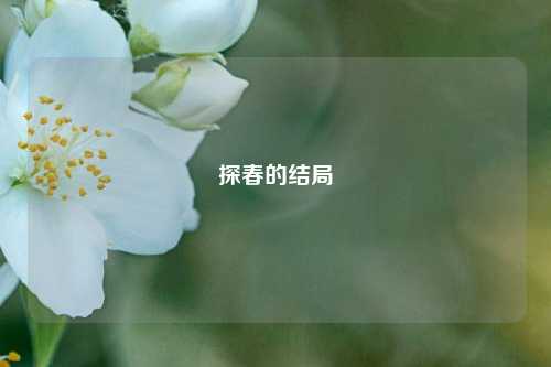 探春的结局