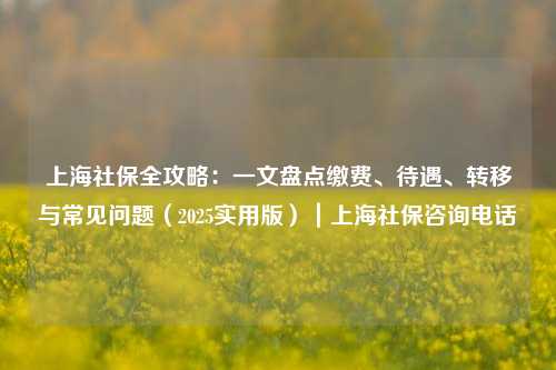 上海社保全攻略：一文盘点缴费、待遇、转移与常见问题（2025实用版）｜上海社保咨询电话