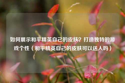 如何展示和平精英自己的皮肤？打造独特的游戏个性（和平精英自己的皮肤可以送人吗）