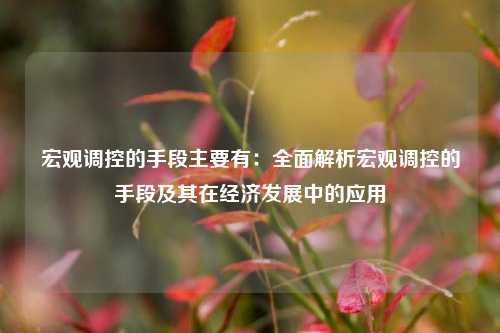 宏观调控的手段主要有:全面解析宏观调控的手段及其在经济发展中的应用