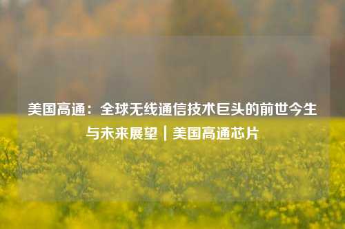 美国高通：全球无线通信技术巨头的前世今生与未来展望｜美国高通芯片