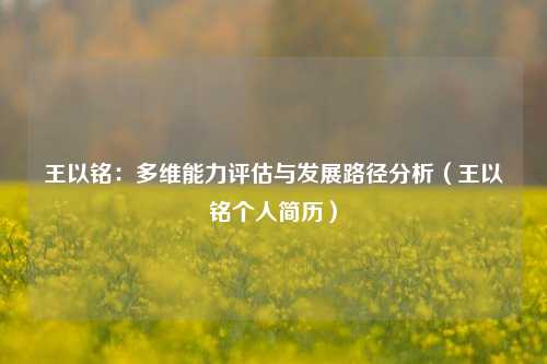 王以铭:多维能力评估与发展路径分析(王以铭个人简历)