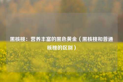 黑核桃:营养丰富的黑色黄金(黑核桃和普通核桃的区别)