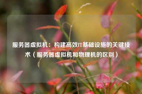 服务器虚拟机：构建高效IT基础设施的关键技术（服务器虚拟机和物理机的区别）