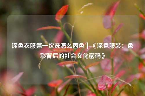 深色衣服第一次洗怎么固色｜《深色服装：色彩背后的社会文化密码》