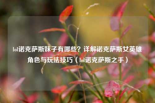 lol诺克萨斯妹子有哪些？详解诺克萨斯女英雄角色与玩法技巧（lol诺克萨斯之手）