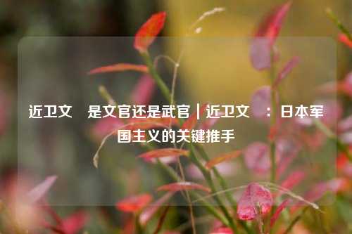 近卫文麿是文官还是武官｜近卫文麿：日本军国主义的关键推手