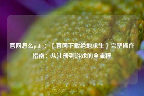 官网怎么pubg：【官网下载绝地求生】完整操作指南：从注册到游戏的全流程