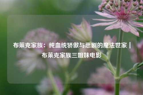 布莱克家族：纯血统骄傲与悲剧的魔法世家｜布莱克家族三姐妹电影