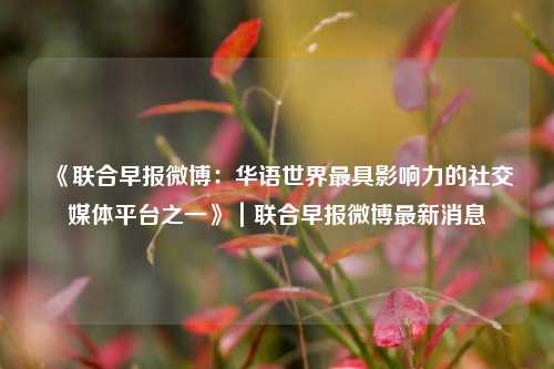 《联合早报微博：华语世界最具影响力的社交媒体平台之一》｜联合早报微博最新消息