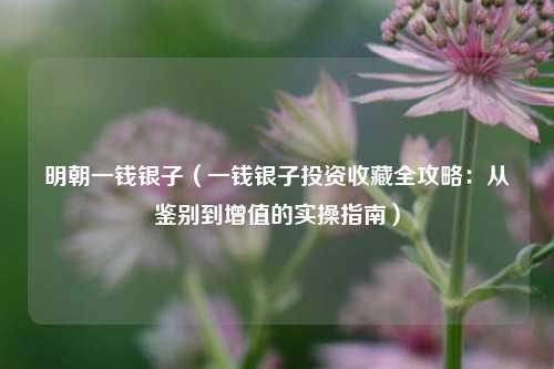 明朝一钱银子(一钱银子投资收藏全攻略:从鉴别到增值的实操指南)