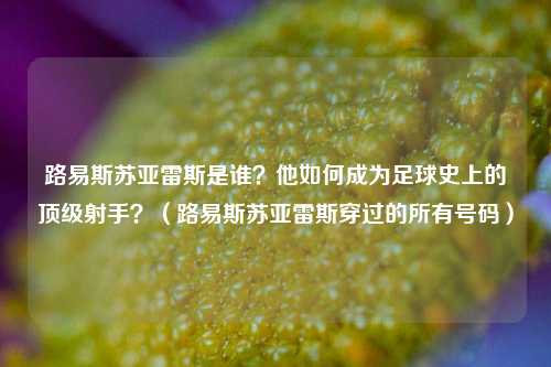 路易斯苏亚雷斯是谁？他如何成为足球史上的顶级射手？（路易斯苏亚雷斯穿过的所有号码）